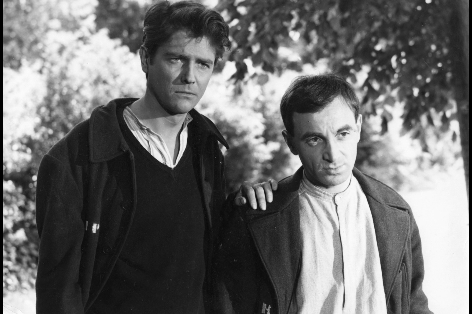 La Tête contre les murs TAP