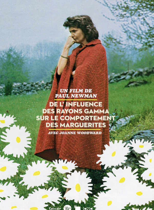 De l&rsquo;influence des rayons gamma sur le comportement des marguerites